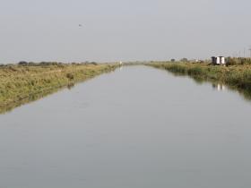 Биыл Достық каналында су мол