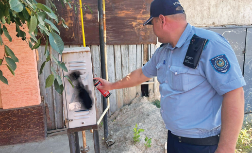 c877772380ba01f3bae360bfa7c69df5.png image.png