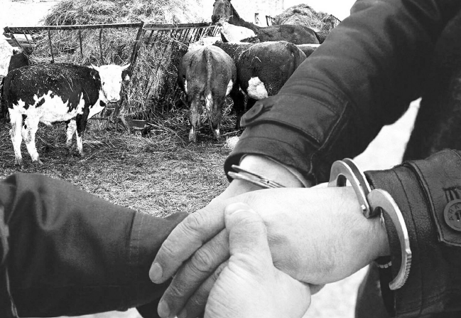 288adccbd11684a51d55cd015ad6d383.png image.png