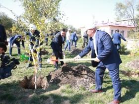Премьер-министр мен облыс әкімі Түркістандағы аллеяда ағаш отырғызды
